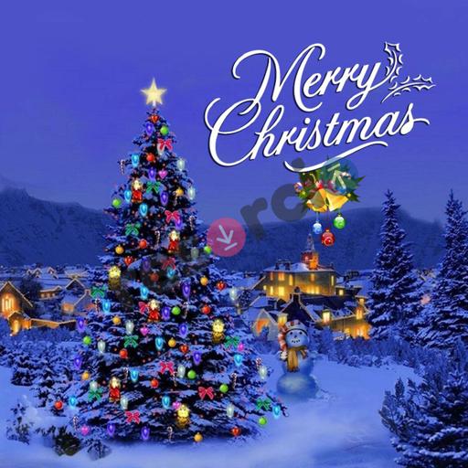 Picture of the product