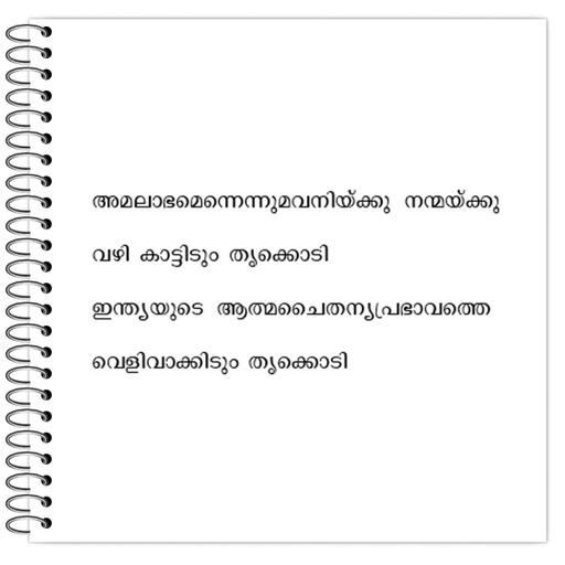 Picture of the product