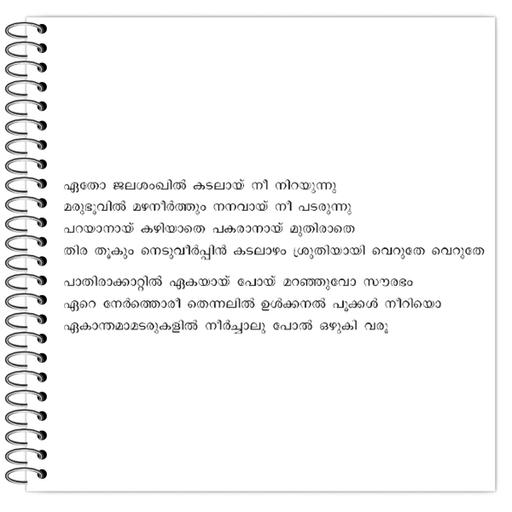 Picture of the product