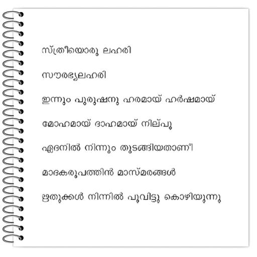 Picture of the product