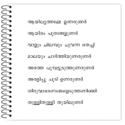 Picture of the product