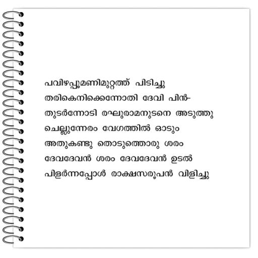 Picture of the product