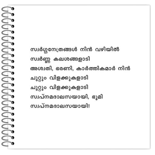 Picture of the product