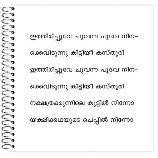 Picture of the product