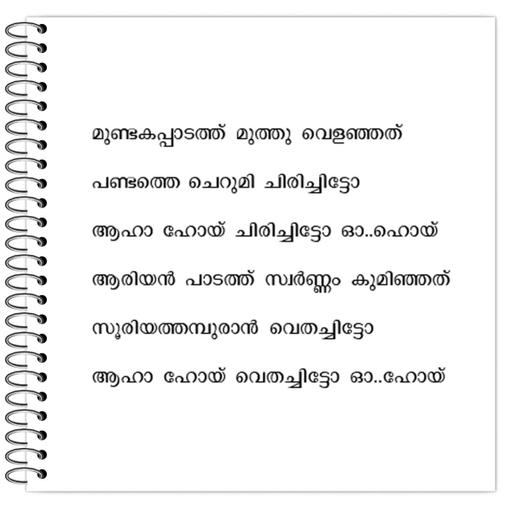 Picture of the product