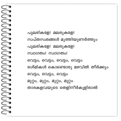 Picture of the product