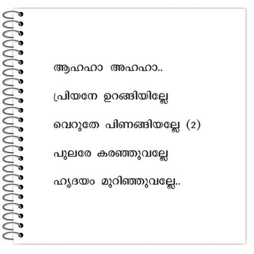 Picture of the product