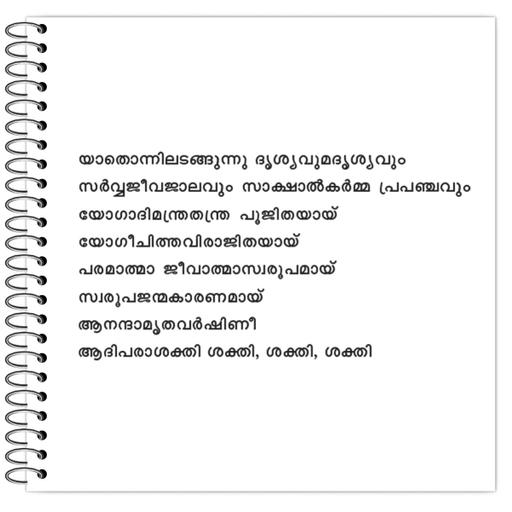 Picture of the product