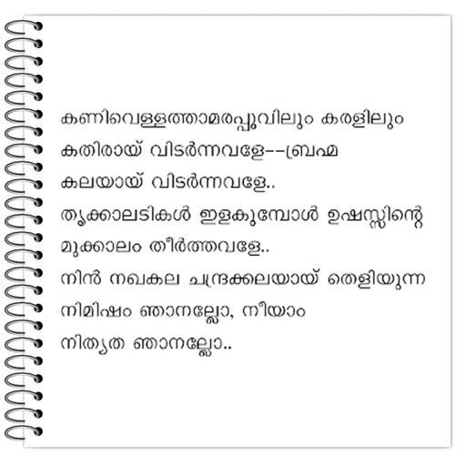 Picture of the product