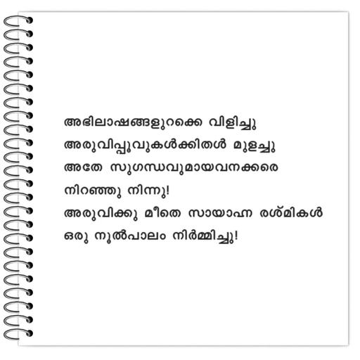 Picture of the product