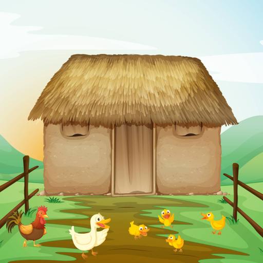 Picture of the product