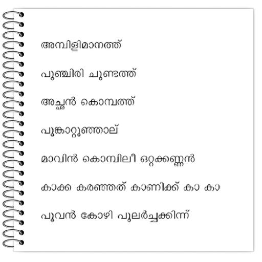 Picture of the product