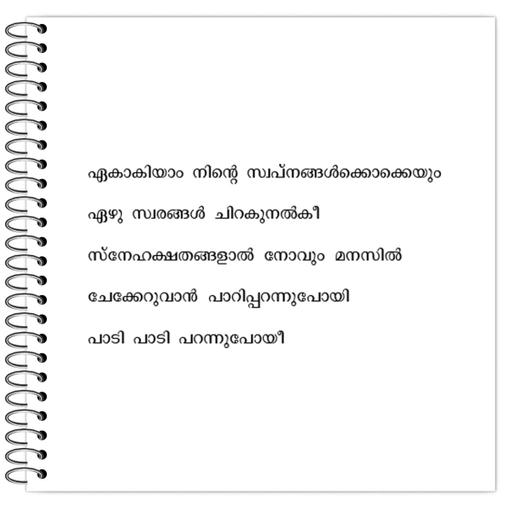 Picture of the product