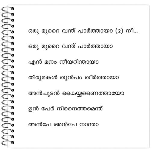 Picture of the product