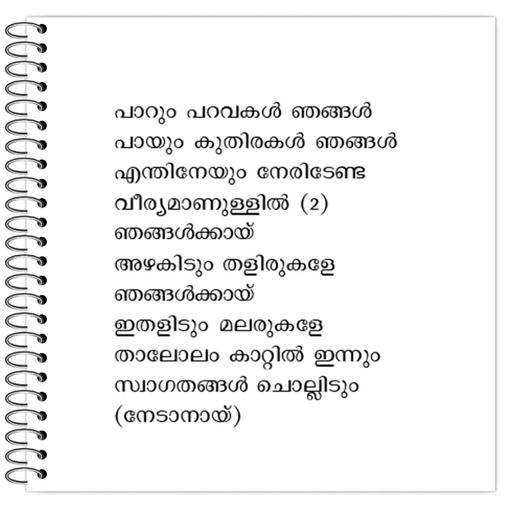 Picture of the product