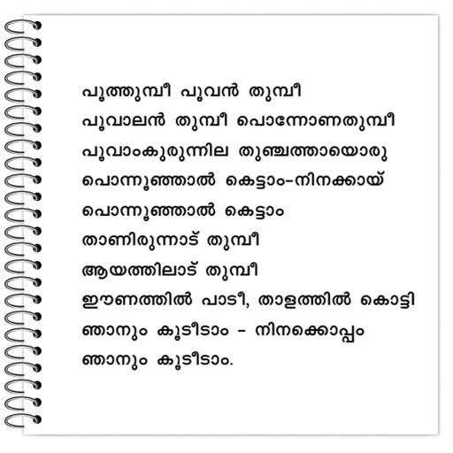 Picture of the product