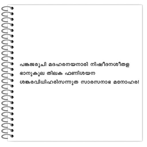 Picture of the product