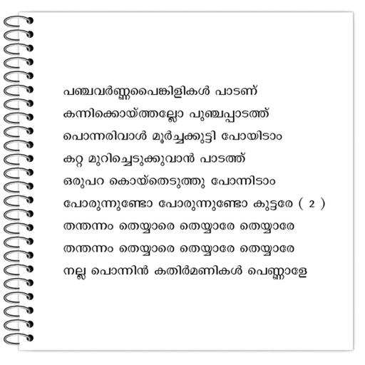 Picture of the product