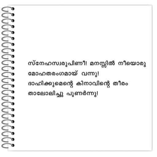 Picture of the product