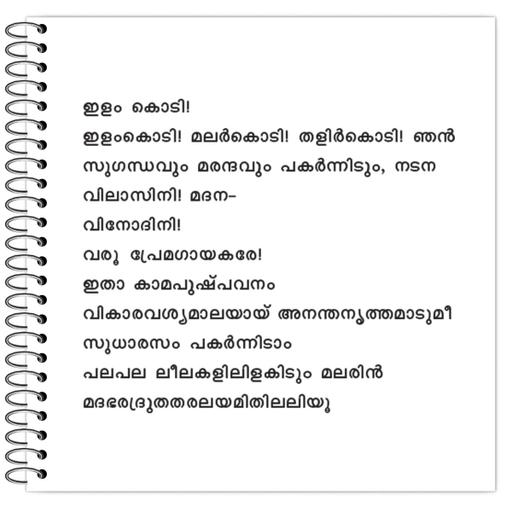 Picture of the product