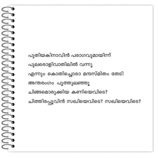 Picture of the product