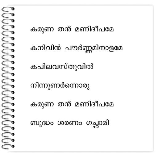 Picture of the product