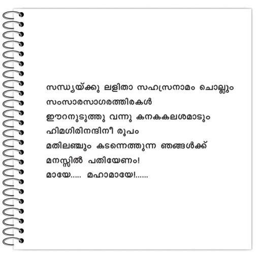 Picture of the product