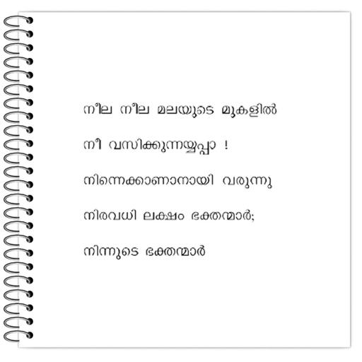 Picture of the product