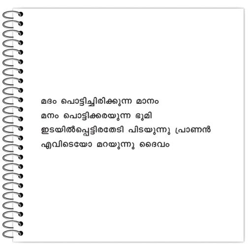 Picture of the product