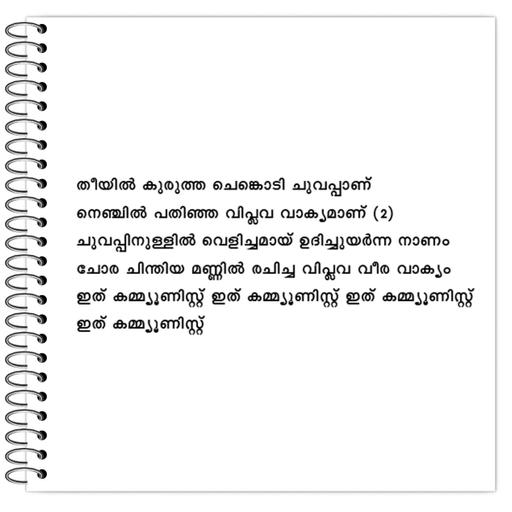 Picture of the product