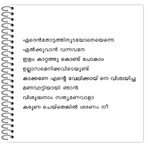 Picture of the product