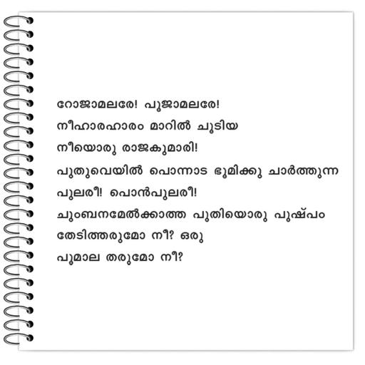 Picture of the product