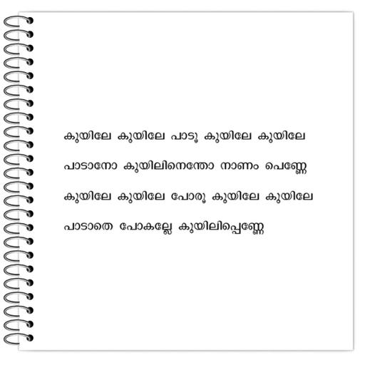 Picture of the product