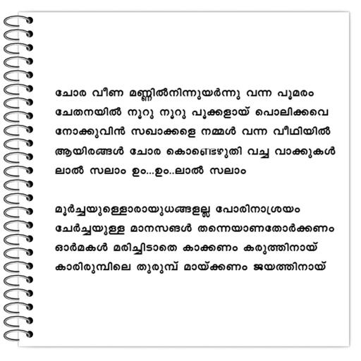 Picture of the product