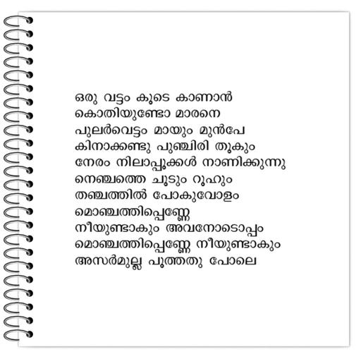 Picture of the product