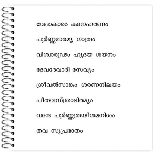 Picture of the product