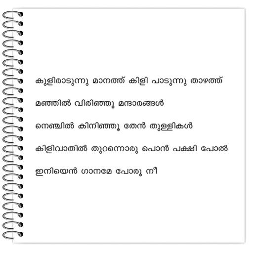 Picture of the product