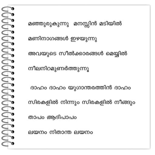 Picture of the product