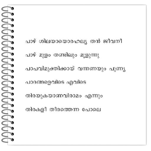 Picture of the product