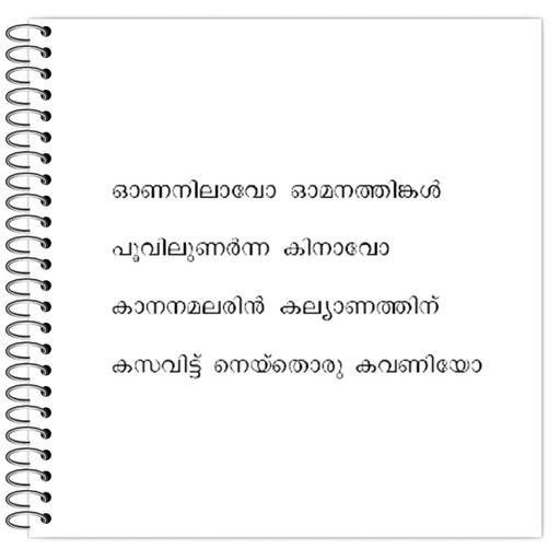 Picture of the product