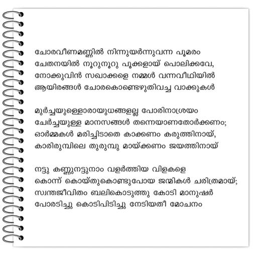 Picture of the product