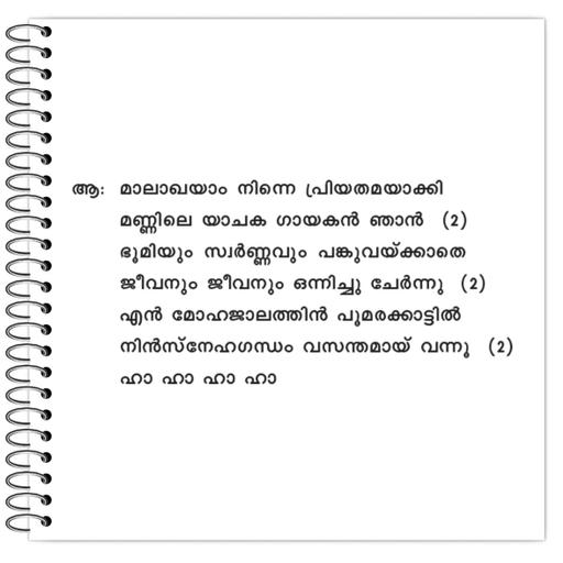 Picture of the product