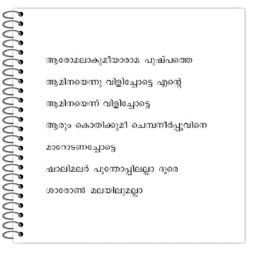 Picture of the product