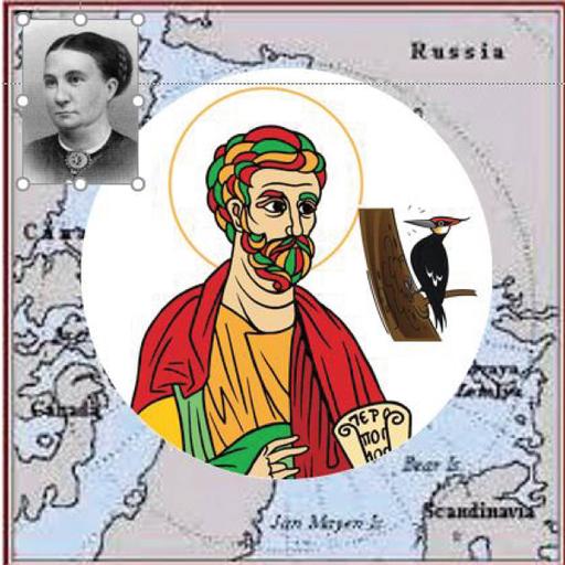 Picture of the product