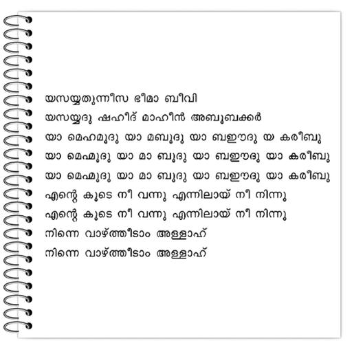 Picture of the product