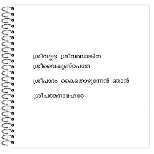 Picture of the product