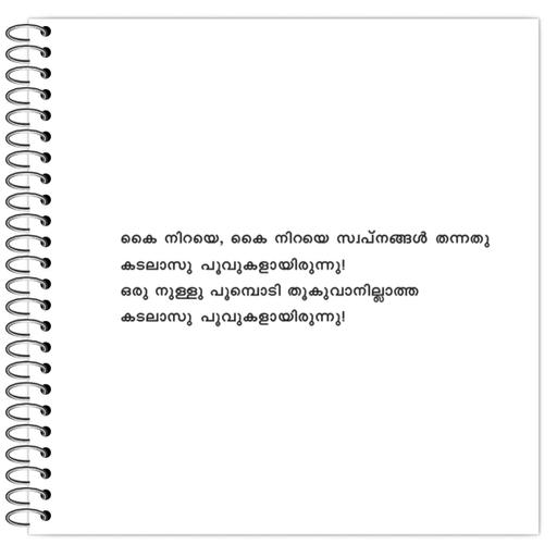 Picture of the product