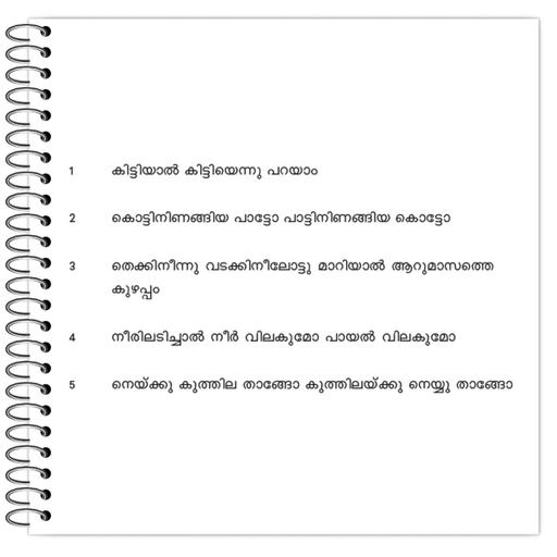 Picture of the product