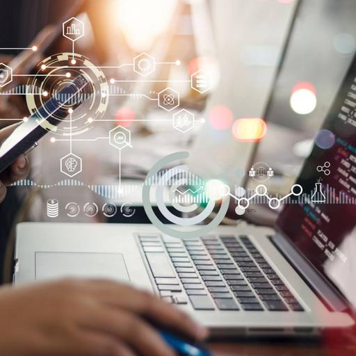 Picture of the product