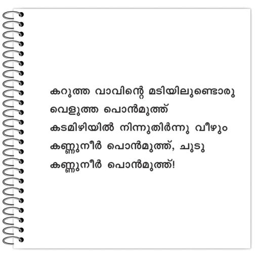 Picture of the product